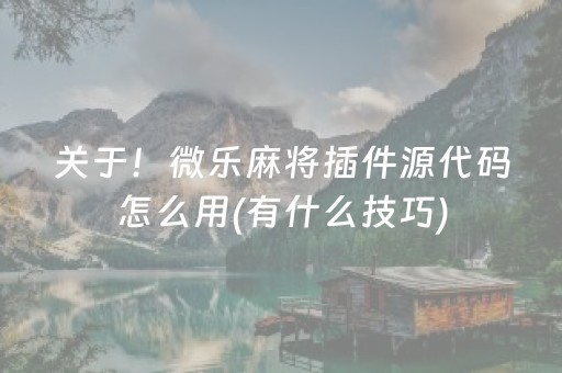 关于！微乐麻将插件源代码怎么用(有什么技巧)