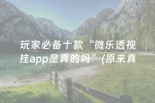 玩家必备十款“微乐透视挂app是真的吗”(原来真的有挂)-抖音