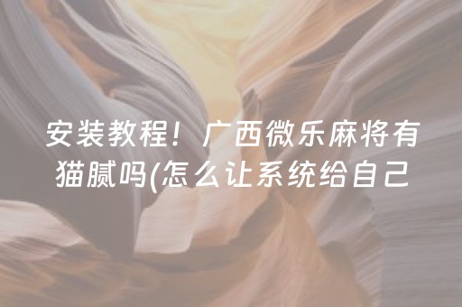 安装教程！广西微乐麻将有猫腻吗(怎么让系统给自己好牌)