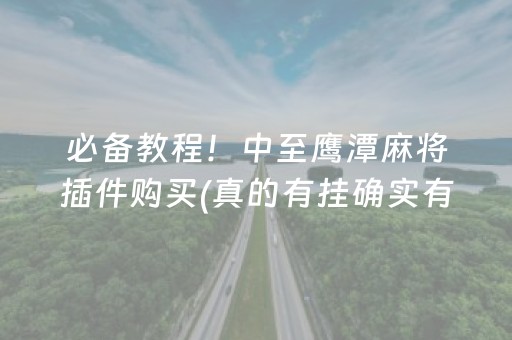 必备教程！中至鹰潭麻将插件购买(真的有挂确实有挂)