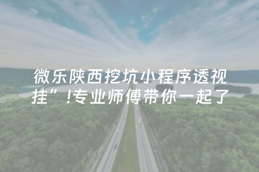 微乐陕西挖坑小程序透视挂”!专业师傅带你一起了解（详细教程）-抖音