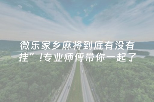 微乐家乡麻将到底有没有挂”!专业师傅带你一起了解（详细教程）-抖音