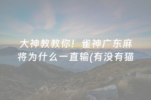 大神教教你！雀神广东麻将为什么一直输(有没有猫腻)