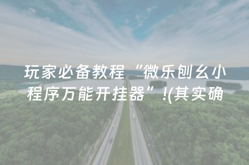 玩家必备教程“微乐刨幺小程序万能开挂器”!(其实确实有挂)-抖音