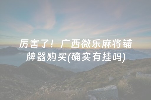 厉害了！广西微乐麻将铺牌器购买(确实有挂吗)