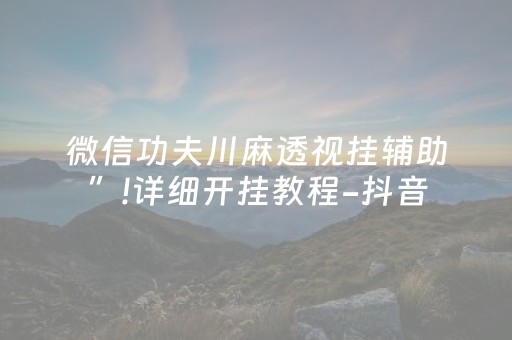 微信功夫川麻透视挂辅助”!详细开挂教程-抖音