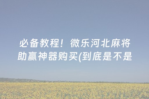 必备教程！微乐河北麻将助赢神器购买(到底是不是有挂)