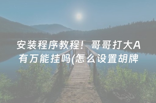 安装程序教程！哥哥打大A有万能挂吗(怎么设置胡牌)