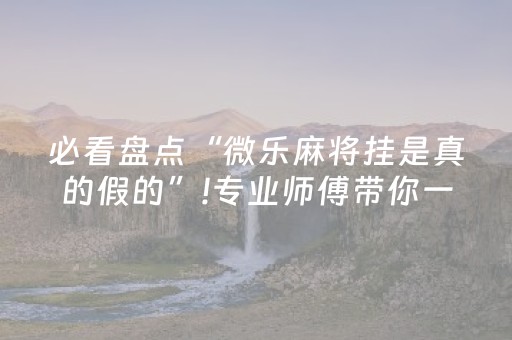 必看盘点“微乐麻将挂是真的假的”!专业师傅带你一起了解（详细教程）-抖音