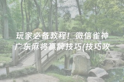 玩家必备教程！微信雀神广东麻将赢牌技巧(技巧攻略怎样拿好牌)