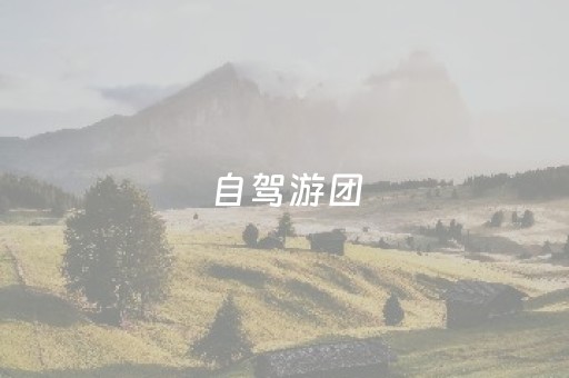 自驾游团（自驾游团队名字）