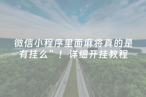 微信小程序里面麻将真的是有挂么”！详细开挂教程（确实真的有挂)-抖音