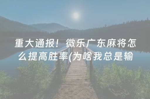 重大通报！微乐广东麻将怎么提高胜率(为啥我总是输)