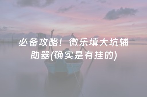 必备攻略！微乐填大坑辅助器(确实是有挂的)