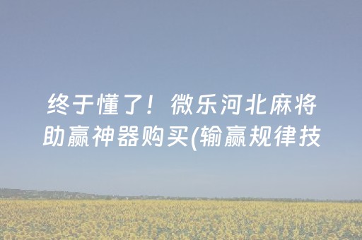 终于懂了！微乐河北麻将助赢神器购买(输赢规律技巧)