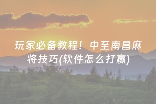 玩家必备教程！中至南昌麻将技巧(软件怎么打赢)