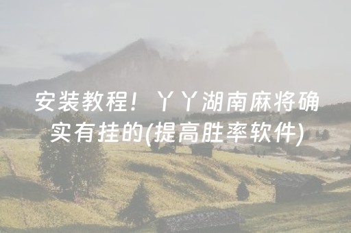 安装教程！丫丫湖南麻将确实有挂的(提高胜率软件)