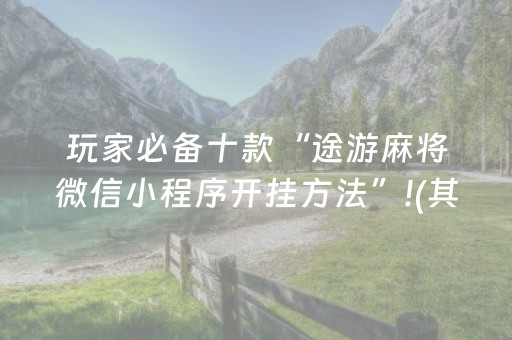 玩家必备十款“途游麻将微信小程序开挂方法”!(其实确实有挂)-抖音