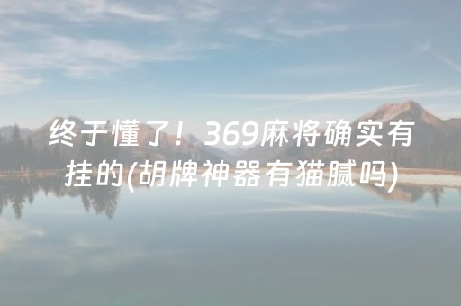 终于懂了！369麻将确实有挂的(胡牌神器有猫腻吗)