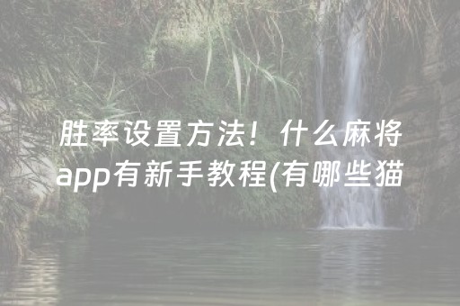 胜率设置方法！什么麻将app有新手教程(有哪些猫腻)