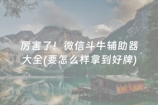 厉害了！微信斗牛辅助器大全(要怎么样拿到好牌)