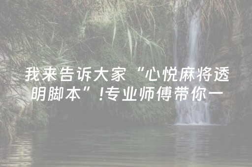 我来告诉大家“心悦麻将透明脚本”!专业师傅带你一起了解（详细教程）-抖音