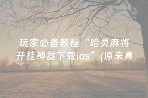 玩家必备教程“哈灵麻将开挂神器下载ios”(原来真的有挂)-抖音