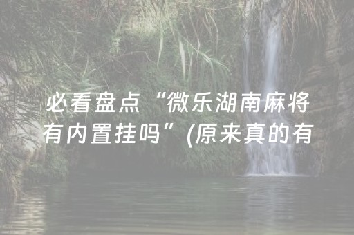 必看盘点“微乐湖南麻将有内置挂吗”(原来真的有挂)-抖音