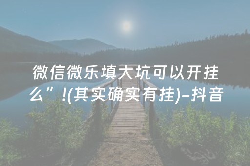 微信微乐填大坑可以开挂么”!(其实确实有挂)-抖音