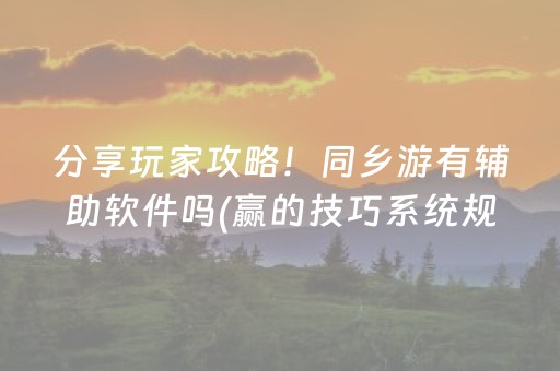 分享玩家攻略！同乡游有辅助软件吗(赢的技巧系统规律)