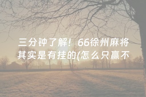 三分钟了解！66徐州麻将其实是有挂的(怎么只赢不输)