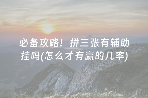 必备攻略！拼三张有辅助挂吗(怎么才有赢的几率)