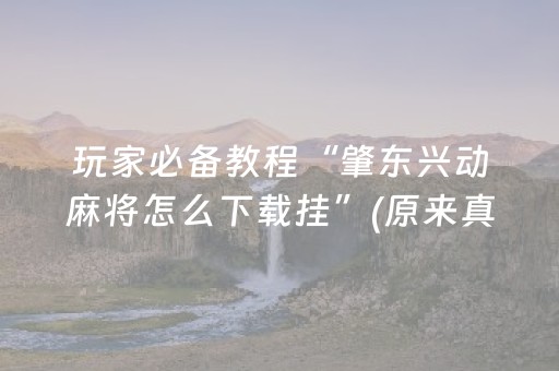 玩家必备教程“肇东兴动麻将怎么下载挂”(原来真的有挂)-抖音