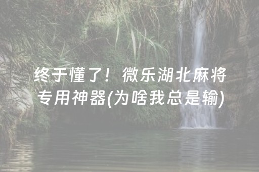 终于懂了！微乐湖北麻将专用神器(为啥我总是输)