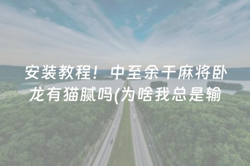 安装教程！中至余干麻将卧龙有猫腻吗(为啥我总是输)