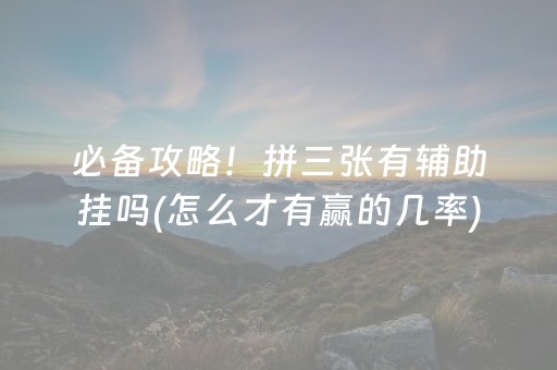 必备攻略！拼三张有辅助挂吗(怎么才有赢的几率)