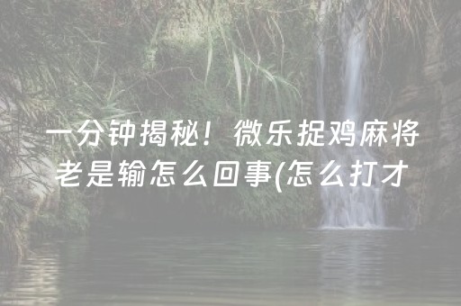 一分钟揭秘！微乐捉鸡麻将老是输怎么回事(怎么打才能赢)