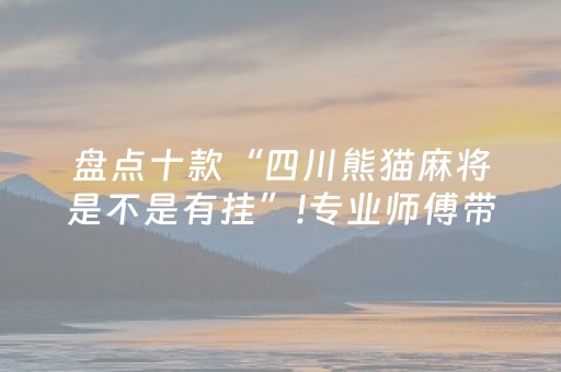 盘点十款“四川熊猫麻将是不是有挂”!专业师傅带你一起了解（详细教程）-抖音