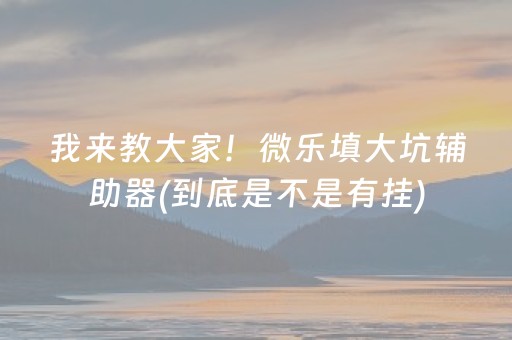 我来教大家！微乐填大坑辅助器(到底是不是有挂)