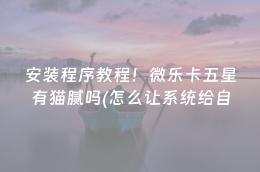 安装程序教程！微乐卡五星有猫腻吗(怎么让系统给自己好牌)