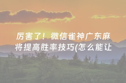 厉害了！微信雀神广东麻将提高胜率技巧(怎么能让胜率高)