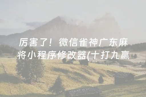 厉害了！微信雀神广东麻将小程序修改器(十打九赢的打法)