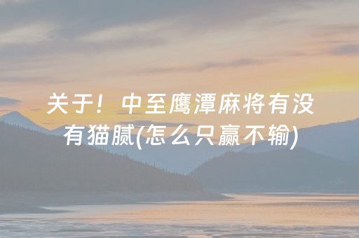 关于！中至鹰潭麻将有没有猫腻(怎么只赢不输)