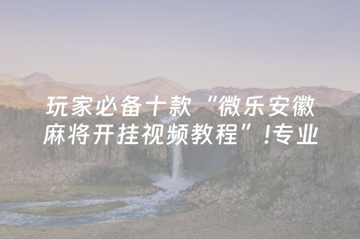 玩家必备十款“微乐安徽麻将开挂视频教程”!专业师傅带你一起了解（详细教程）-抖音