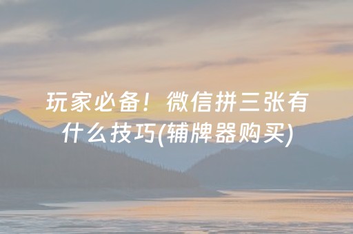 玩家必备！微信拼三张有什么技巧(辅牌器购买)