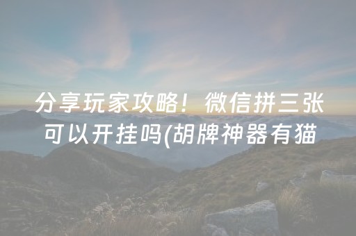 分享玩家攻略！微信拼三张可以开挂吗(胡牌神器有猫腻吗)