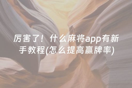 厉害了！什么麻将app有新手教程(怎么提高赢牌率)