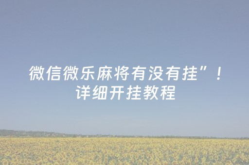 微信微乐麻将有没有挂”！详细开挂教程（确实真的有挂)-抖音