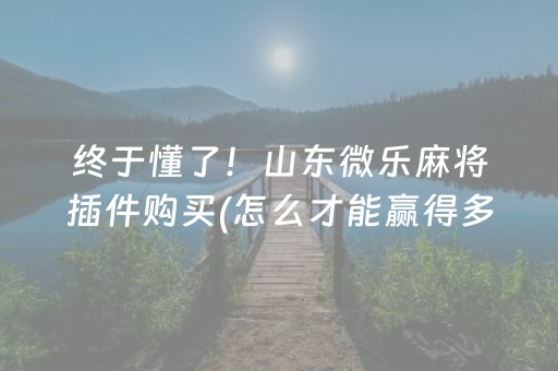 终于懂了！山东微乐麻将插件购买(怎么才能赢得多)