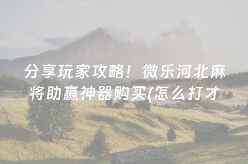 分享玩家攻略！微乐河北麻将助赢神器购买(怎么打才能赢)